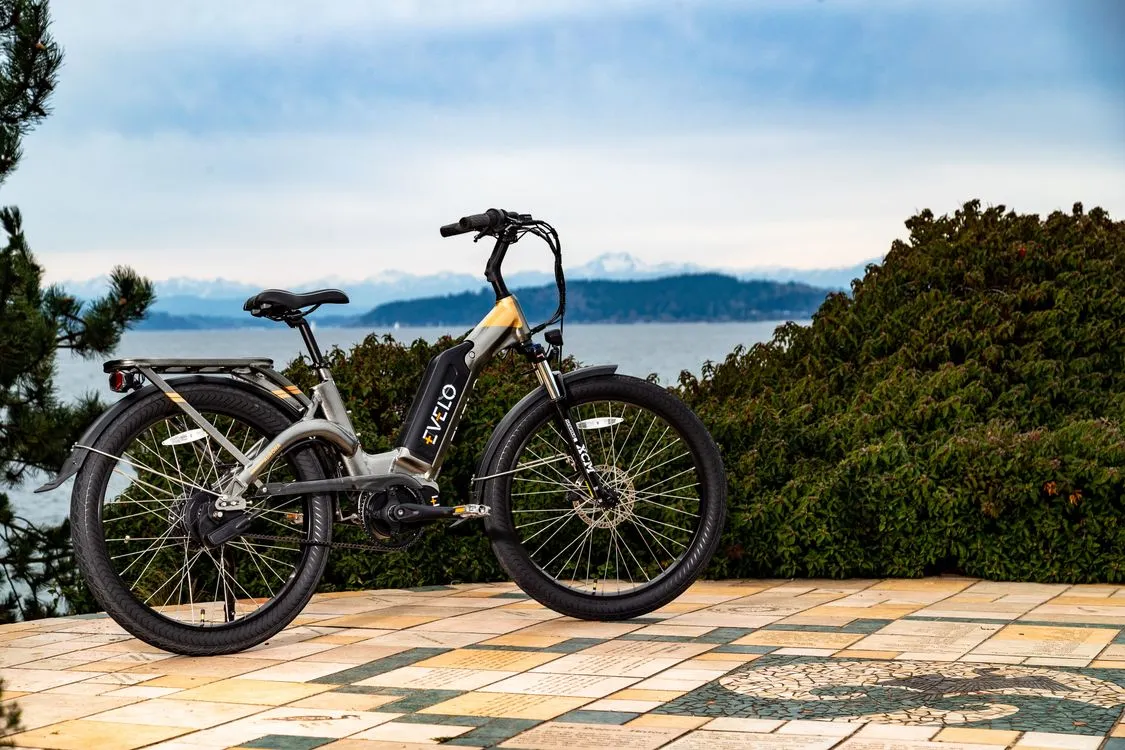 What to Look for in an eBike Shop: 7 Things That Matter - article hero photograph