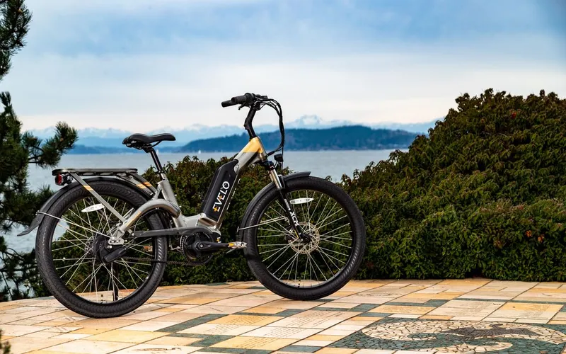 What to Look for in an eBike Shop: 7 Things That Matter