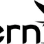 Tern eBike logo